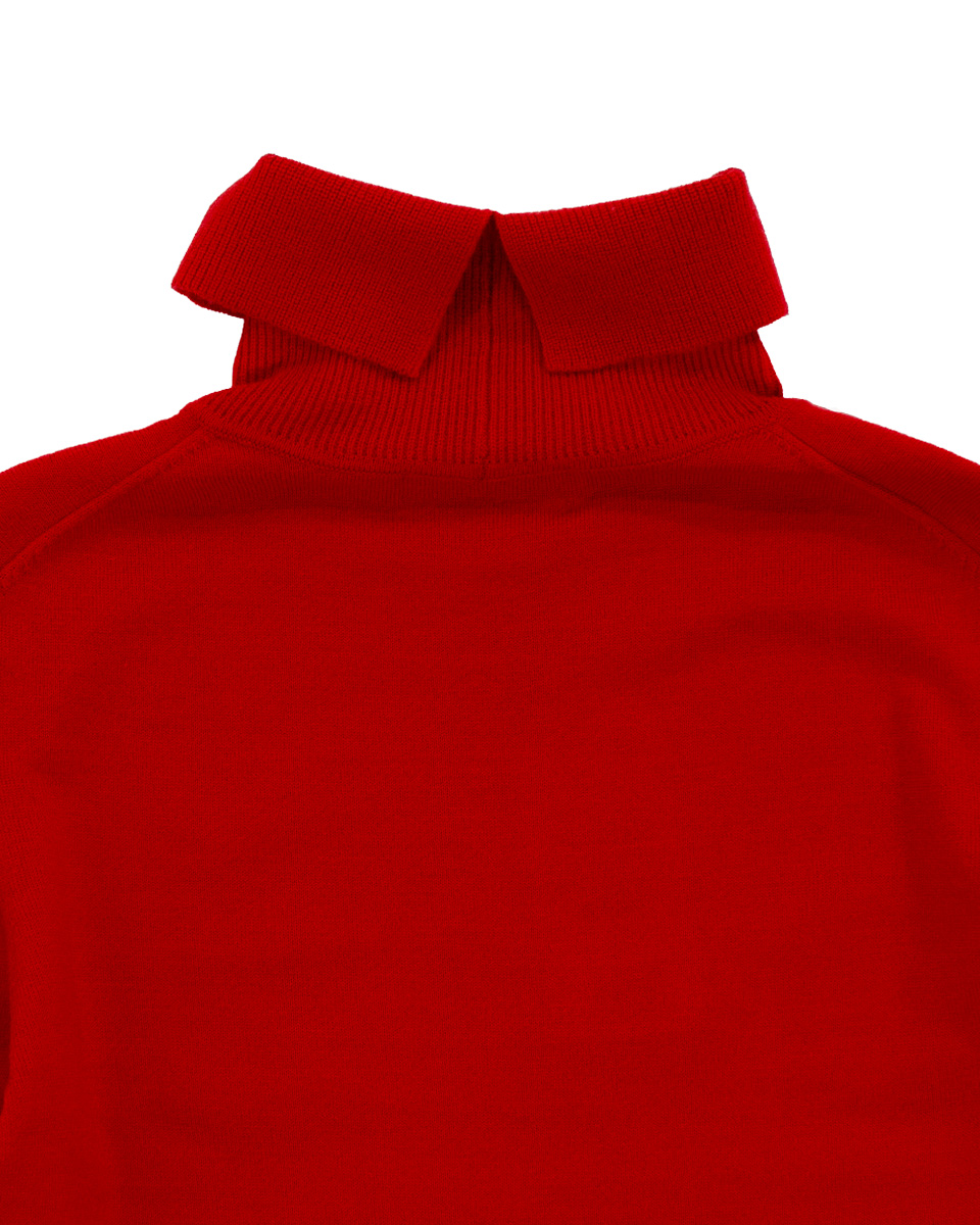 【未使用】【レア】バードウェル　ダックプルオーバー 手洗い可】タートルネックバックスリットプルオーバー | JANTZEN