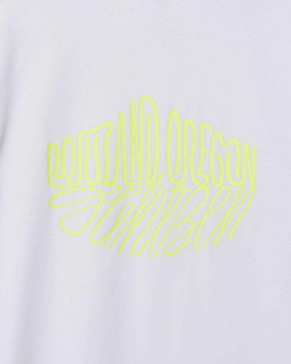 吸水速乾/接触冷感】＜コラボプリントT>Mt.プリントTシャツ