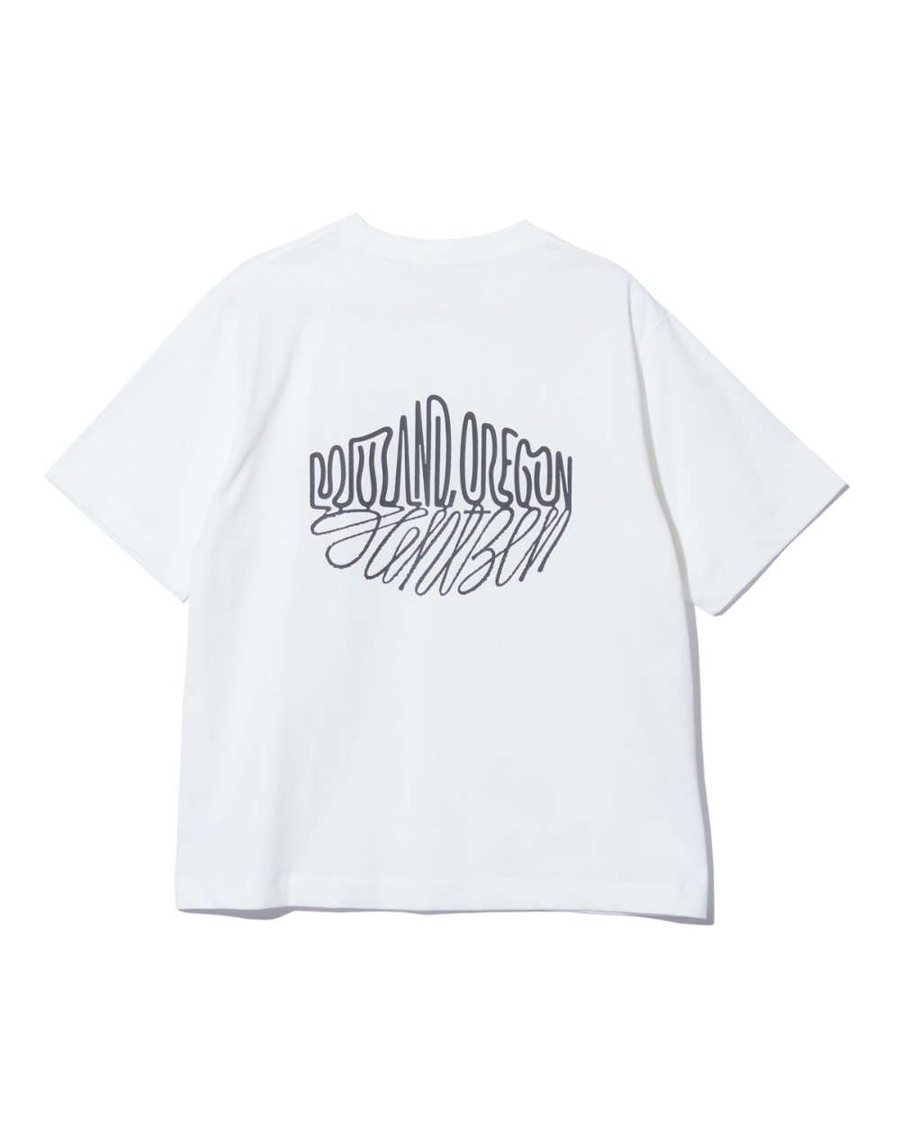 吸水速乾/接触冷感】＜コラボプリントT>Mt.プリントTシャツ
