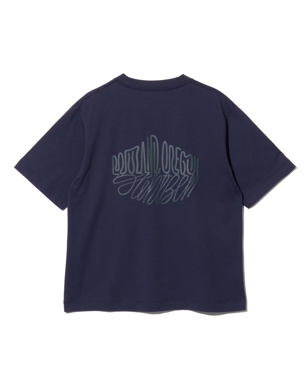 吸水速乾/接触冷感】＜コラボプリントT>Mt.プリントTシャツ