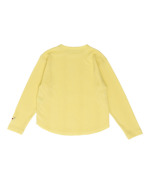 40�C�G���[